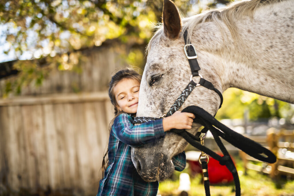 fillette avec son cheval - sports équestres